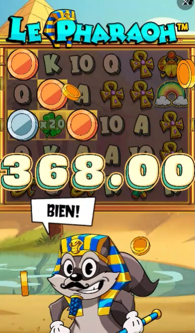5 gringos